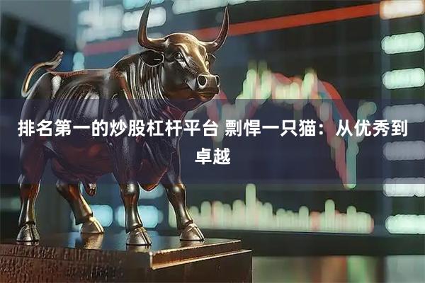 排名第一的炒股杠杆平台 剽悍一只猫：从优秀到卓越